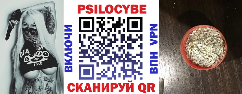 Галлюциногенные грибы MAGIC MUSHROOMS  Купить закладки  Кувшиново 